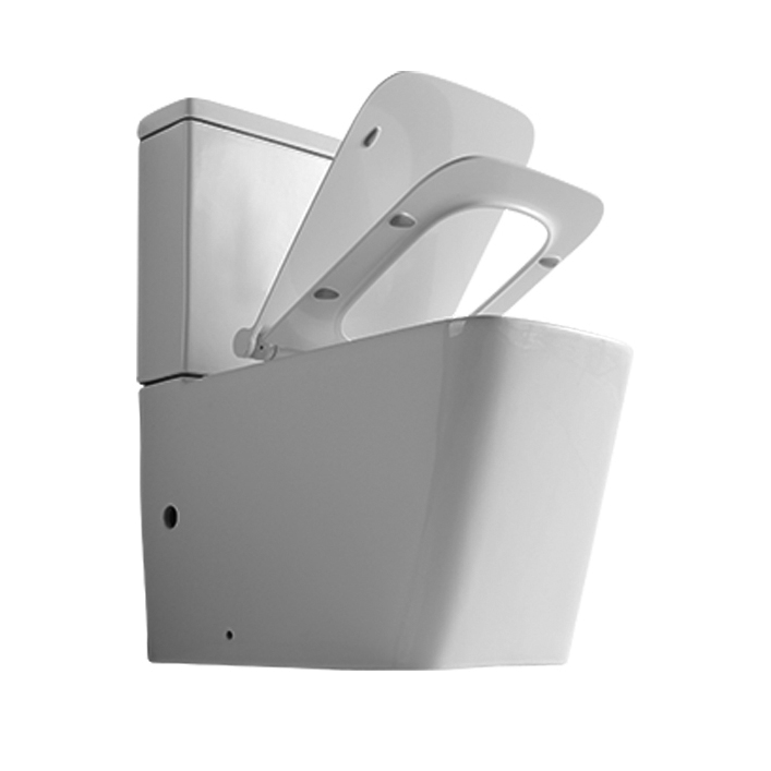 Чаша напольного унитаза Aquanet Rimless Tavr-C1 BL-103N-TPT