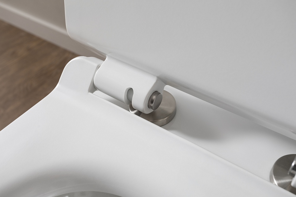 Чаша напольного унитаза Aquanet Rimless Nova-C1 BL-101N-TPT-A